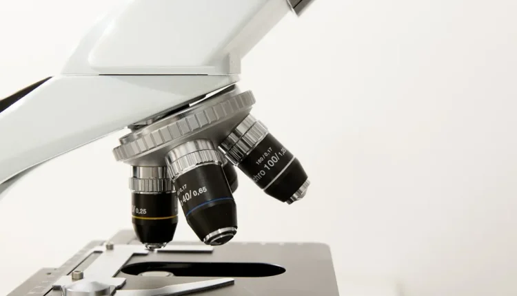 Doctor Fantasy WhatsApp Web Entenda Como Usar e Todos os Recursos-chave