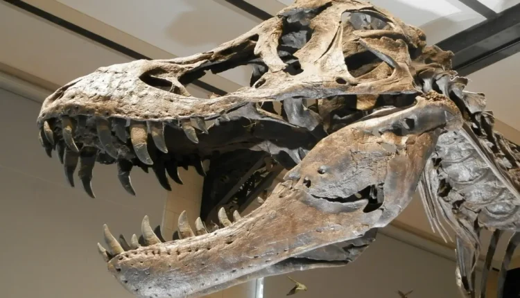 Jogo do Dinossauro Entenda Como Jogar e se Divertir