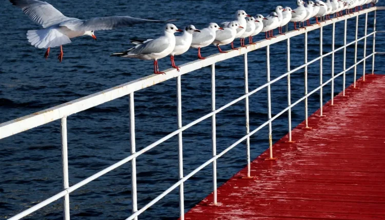 Metroidvanias: o que são e por que viciam