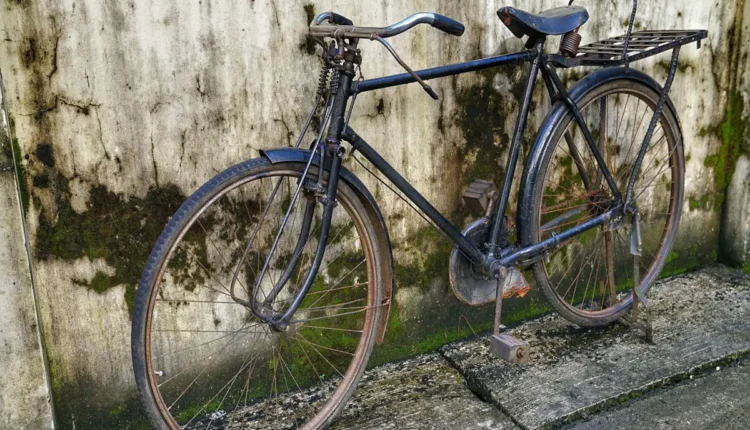 Onze Homens e Um Segredo Entenda a História Completa