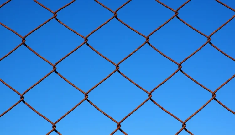 Roteador Mesh Entenda Como Escolher o Ideal para Sua Casa